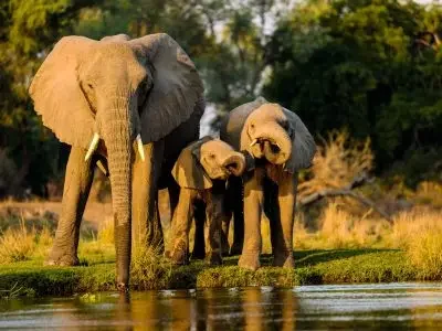 Kruger-National-Park-scaled-r9t606vddp2pa27xiqjvydtteynsdanlhasrcbef94